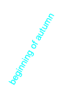 wpe5a93753.png